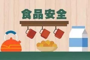 國(guó)務(wù)院食品安全辦有關(guān)負(fù)責(zé)人就2019年食品安全重點(diǎn)工作安排答記者問